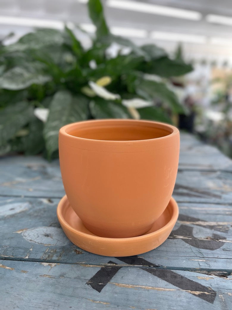 Baden Pot Terracotta