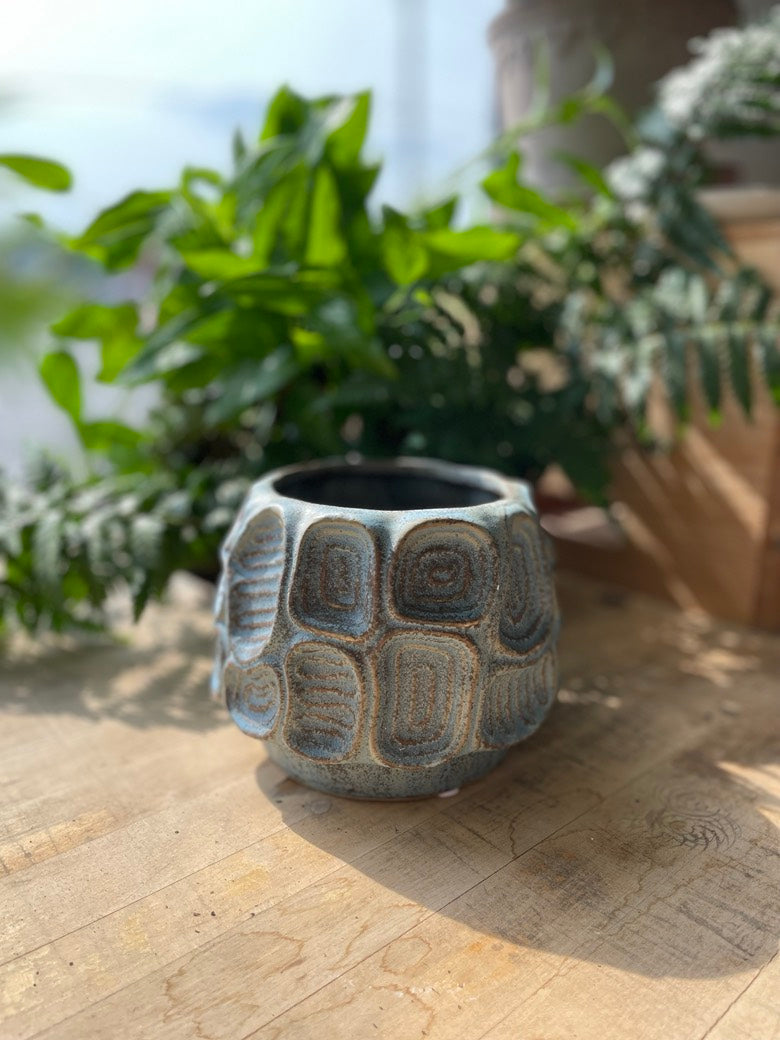The Circa Pot