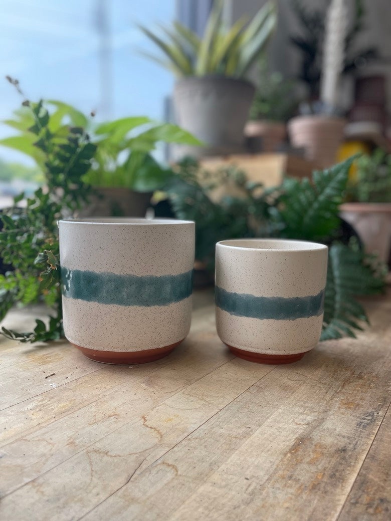 Mateo Pot