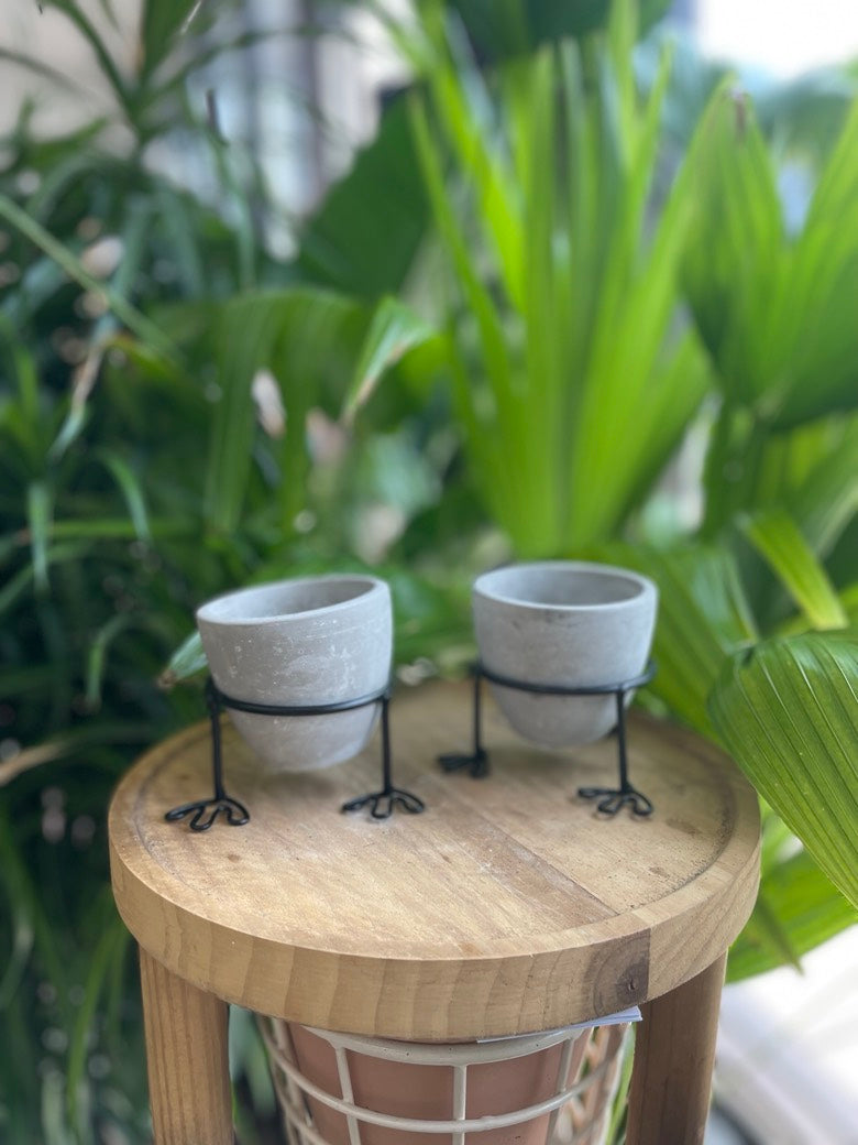 Lucky Feet Pot w/ Stand