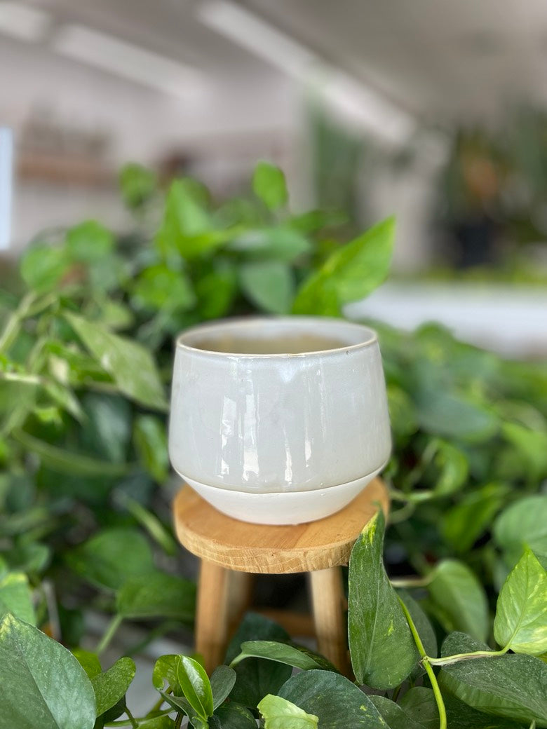 Farmhouse Crock Planter