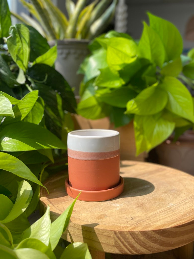 Hadley Pot