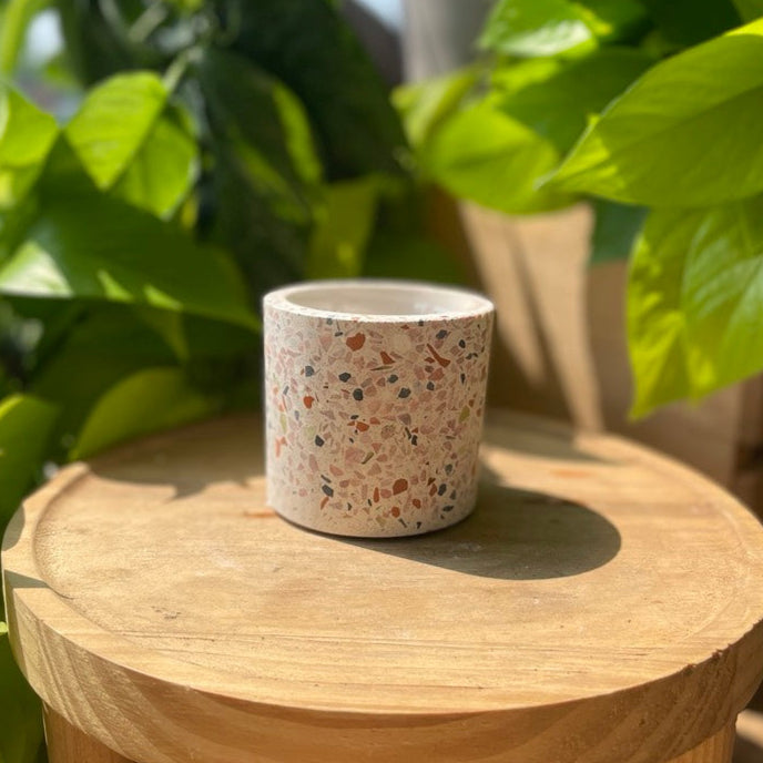 Terrazzo Pot
