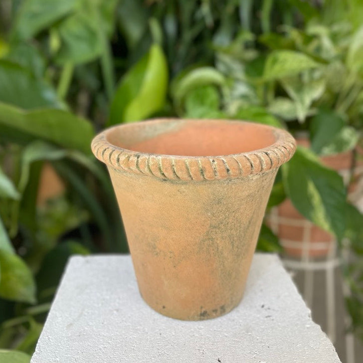 Mecate Pot