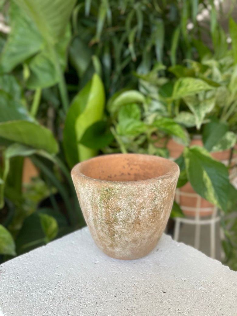 Crucible Pot