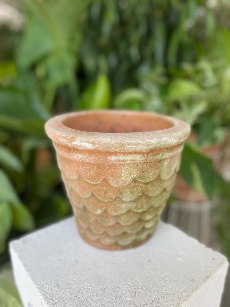 Dragonscale Pot