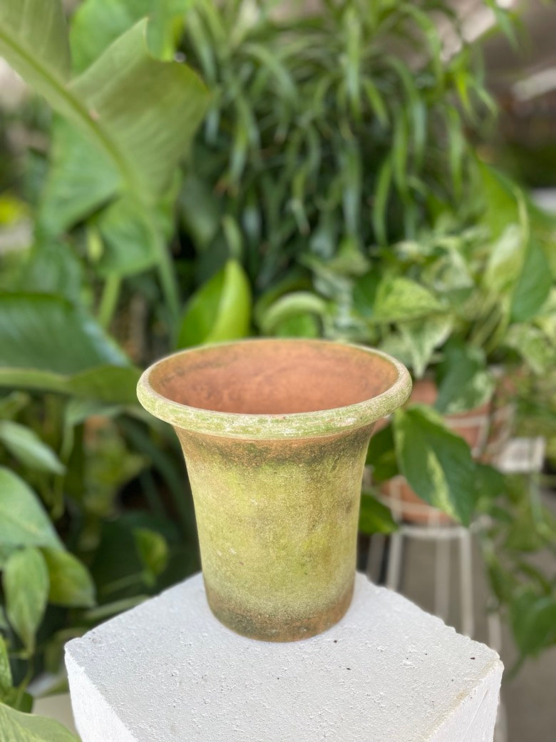 English Pot