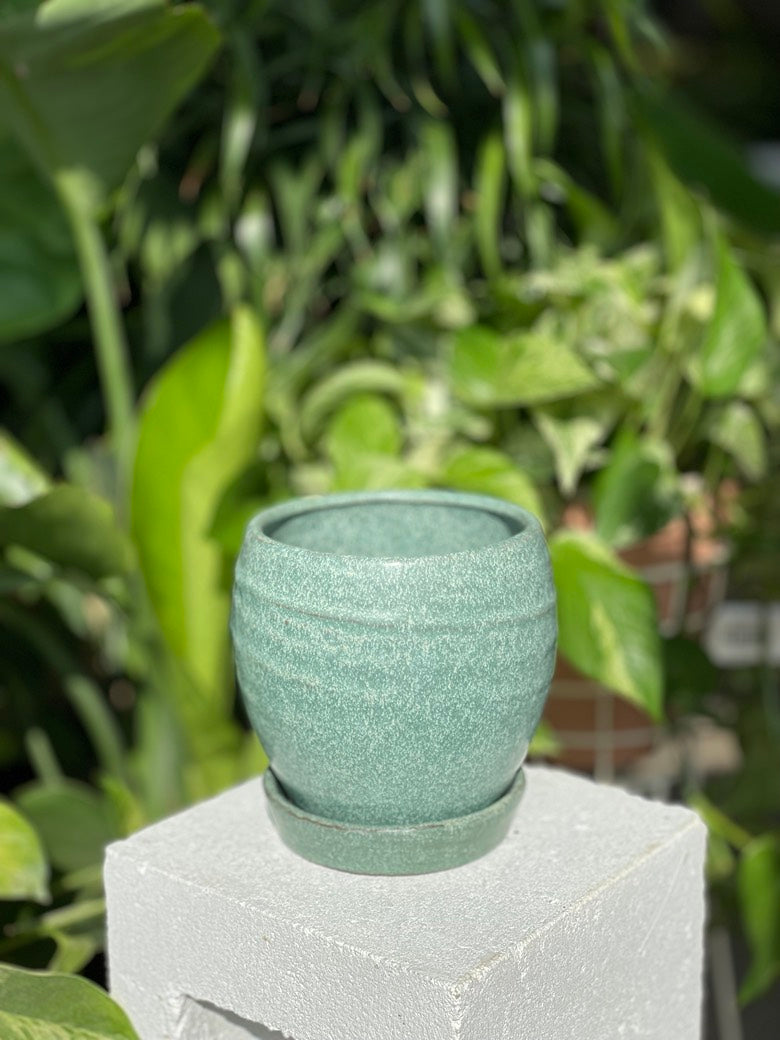 Bradford Pot w/ Saucer