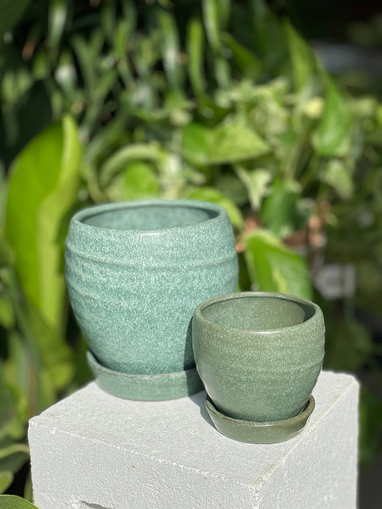 Bradford Pot w/ Saucer