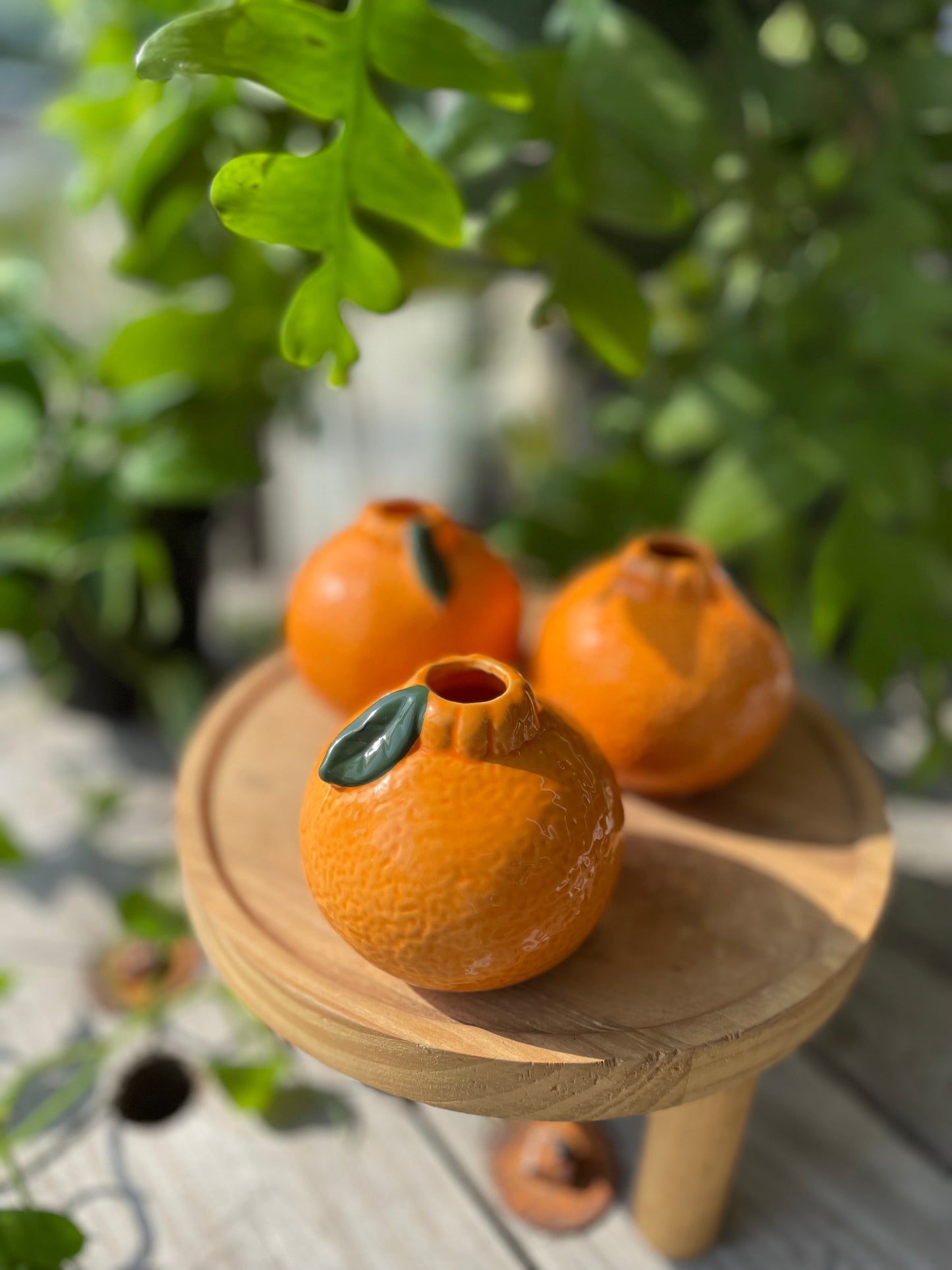 Tangerine Propagation Holder