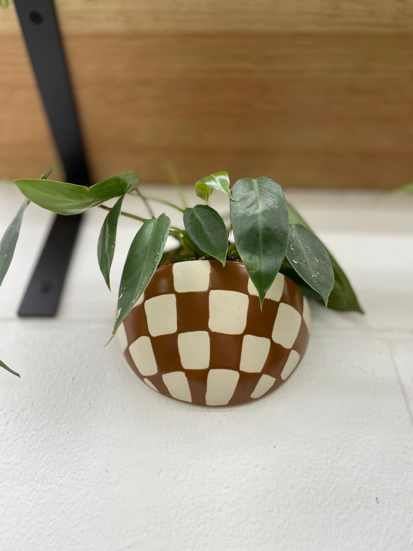 Doren Wall Planter