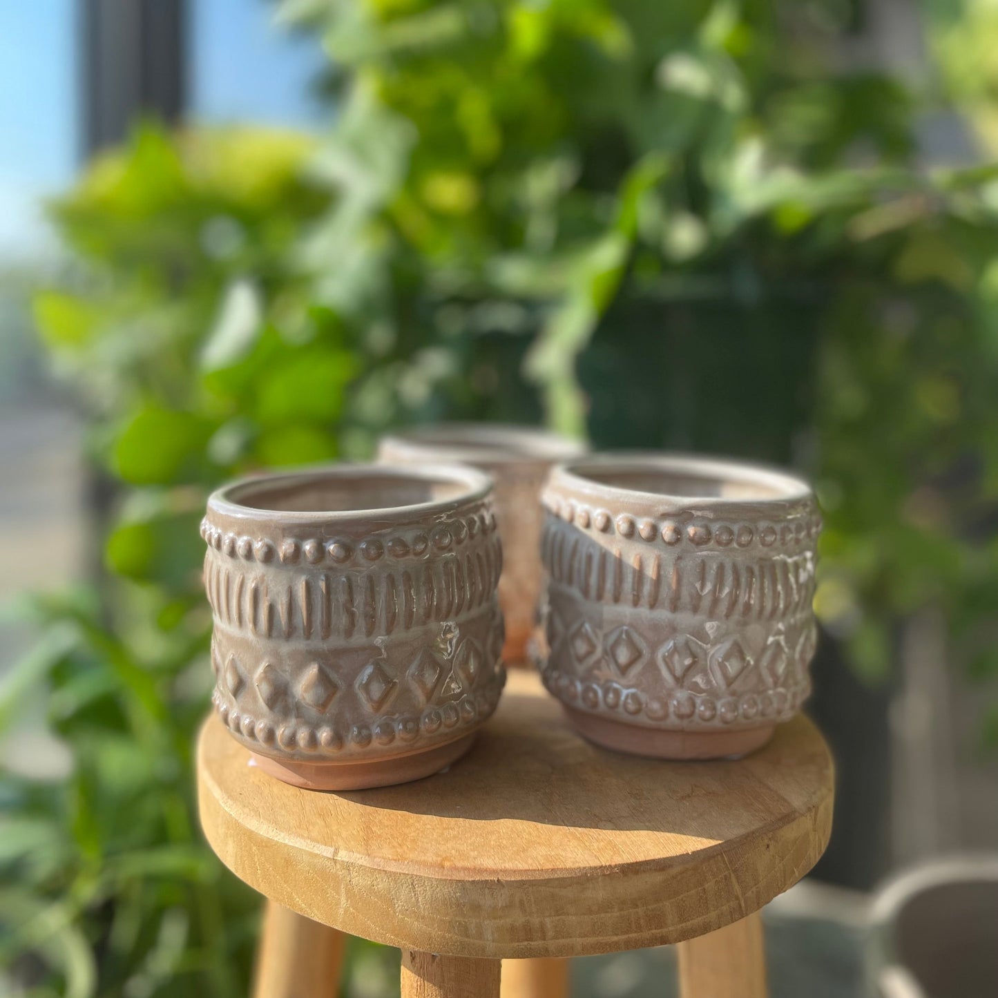 Freja Pot