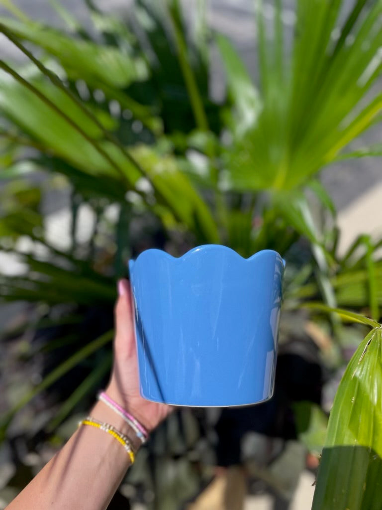 The Petal Pot