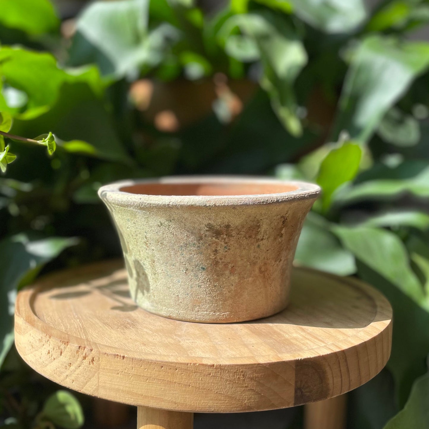 Berkshire Planter