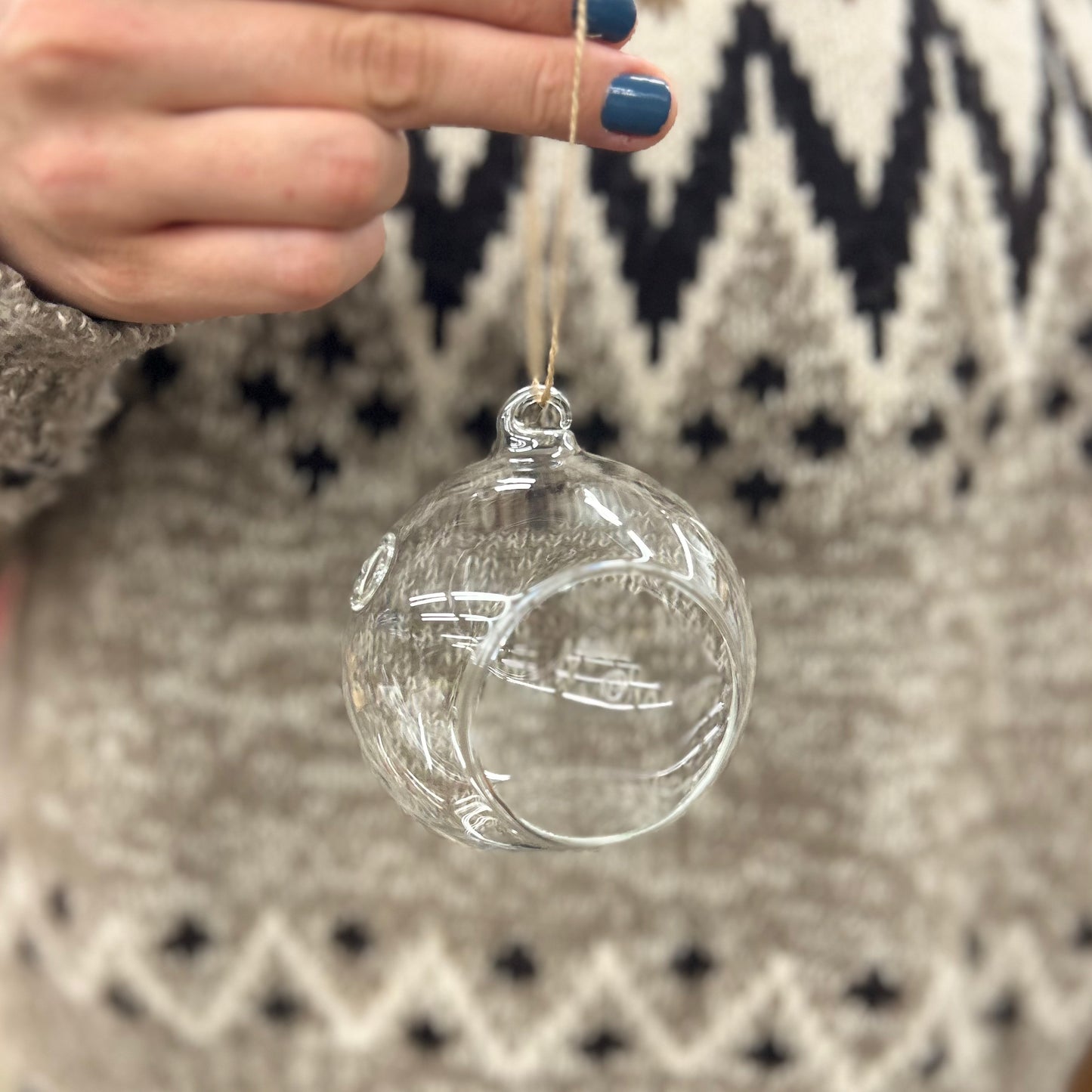 Hanging Glass Plant Terrarium