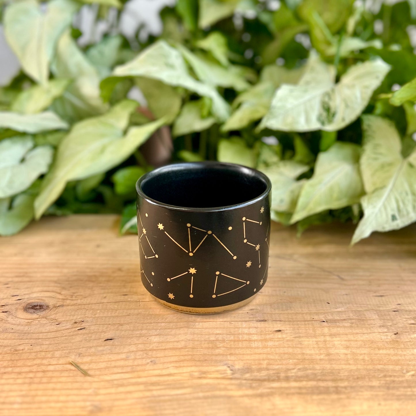 Constellation Pot