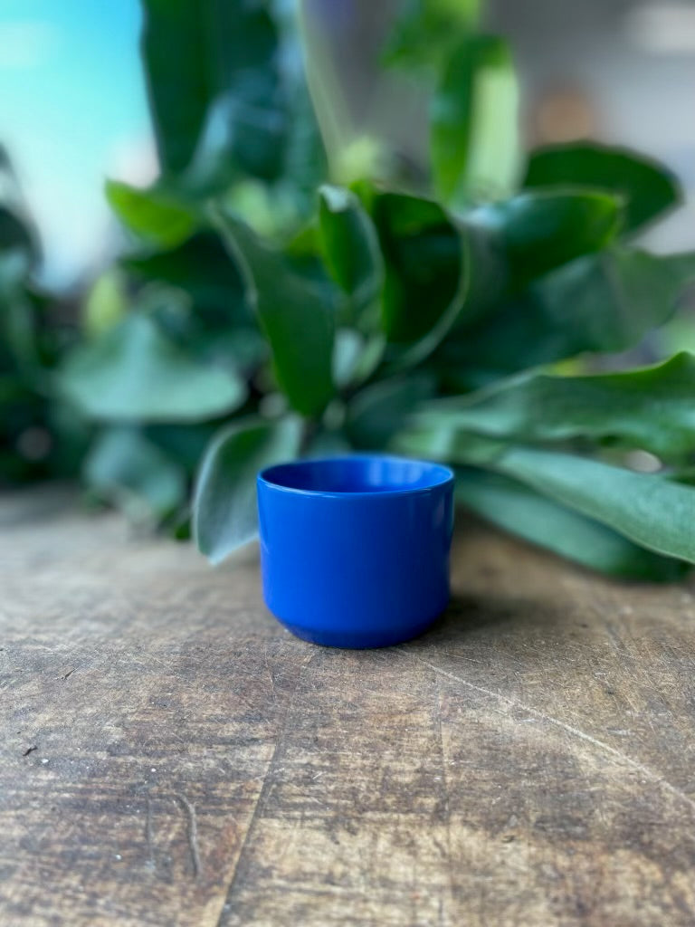 Kendall Pot