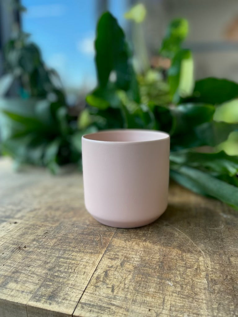 Kendall Pot