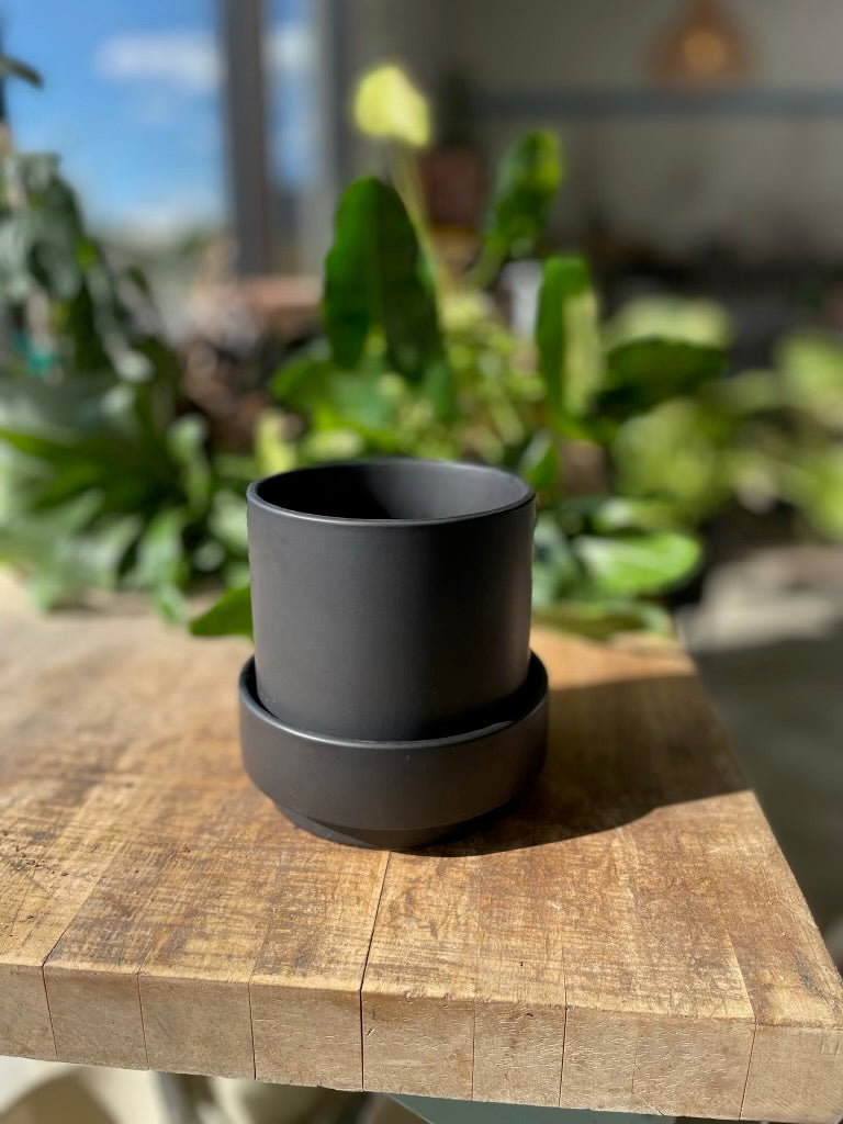 Claxton Pot