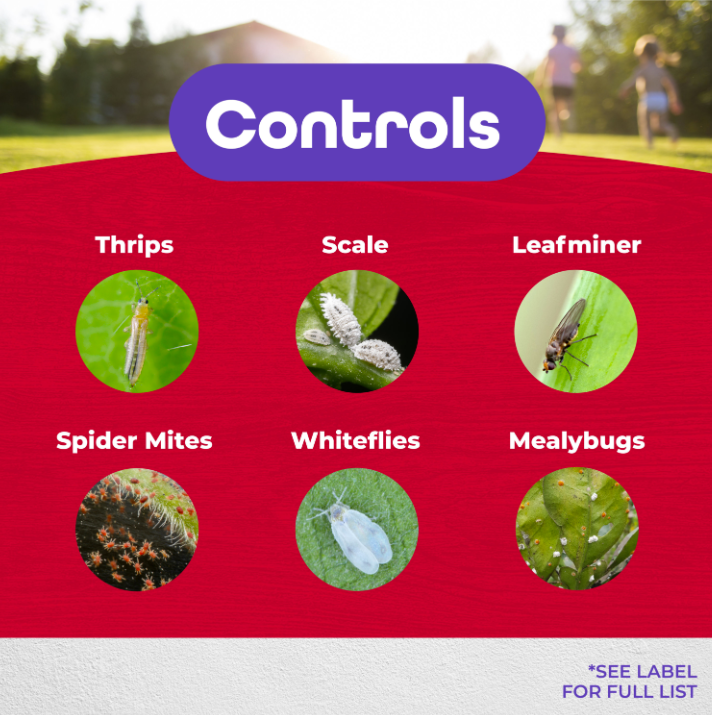 Bonide Systemic Insecticide Liquid Concentrate