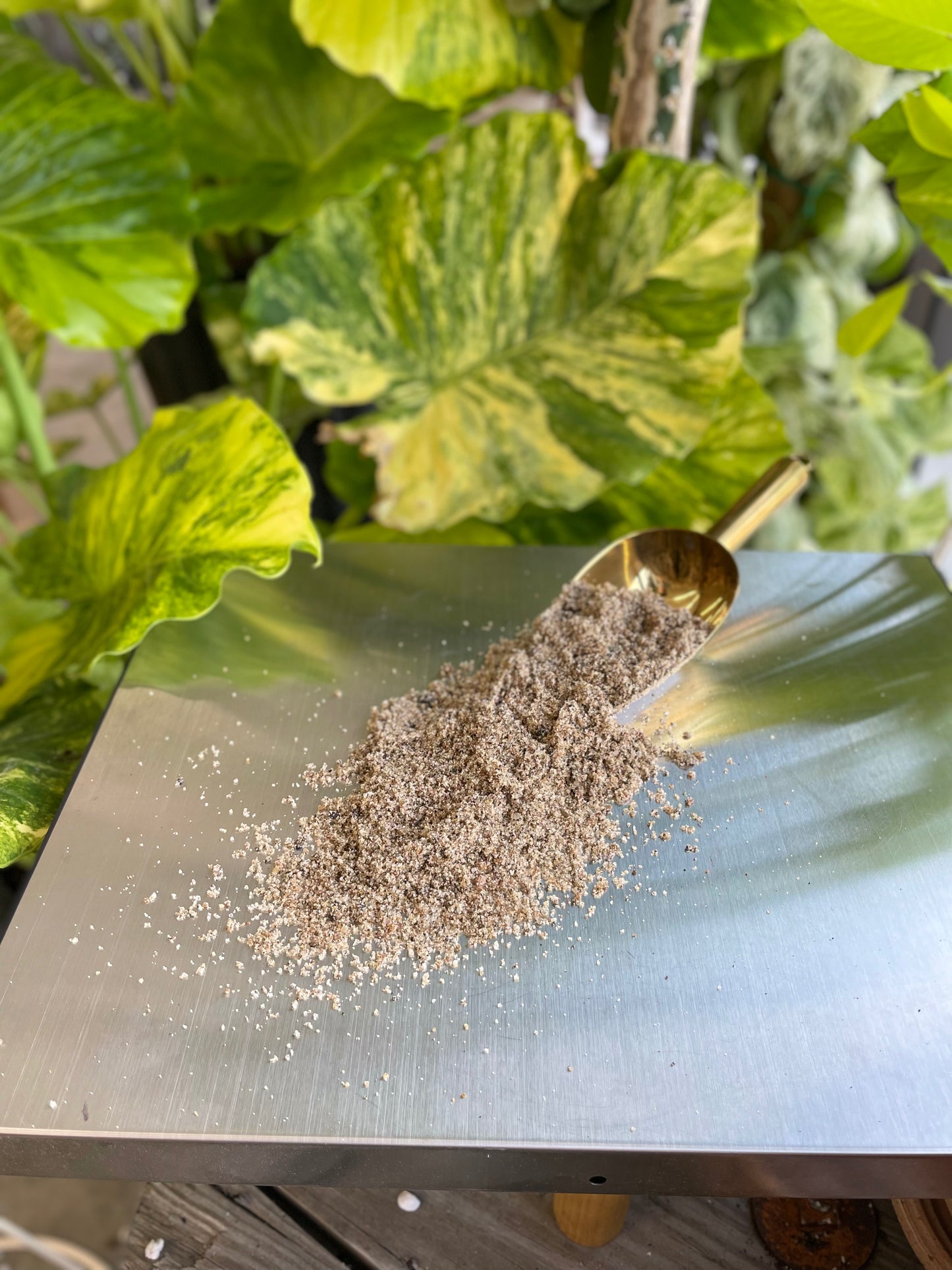 LeafLabs Horticultural Coarse Sand