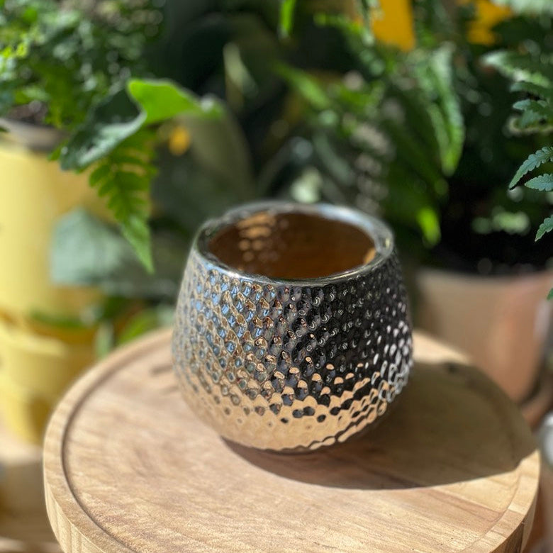 Supernova Pot