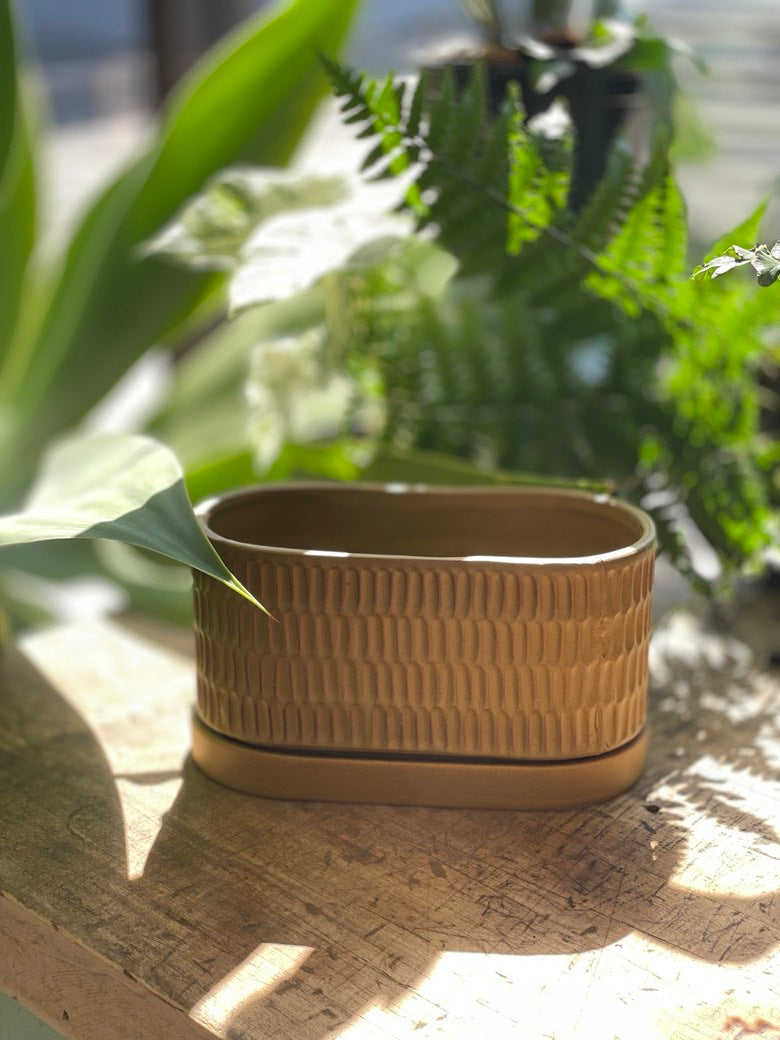 Zelle Planter