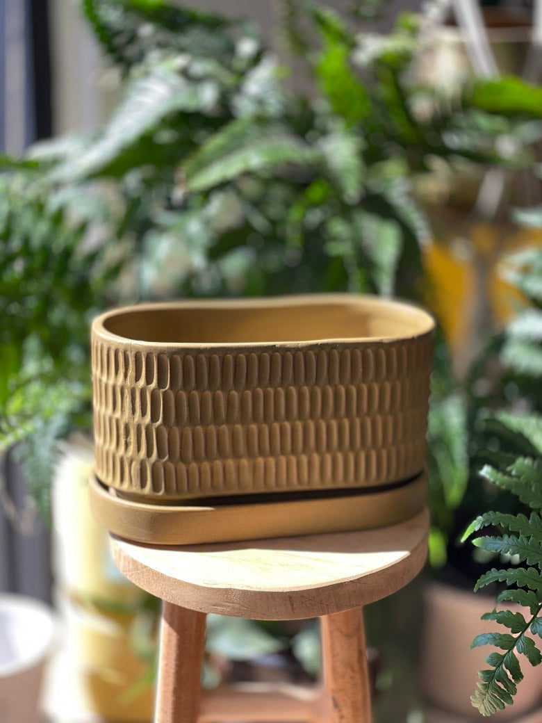 Zelle Planter