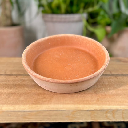 Bergs Standard Saucer