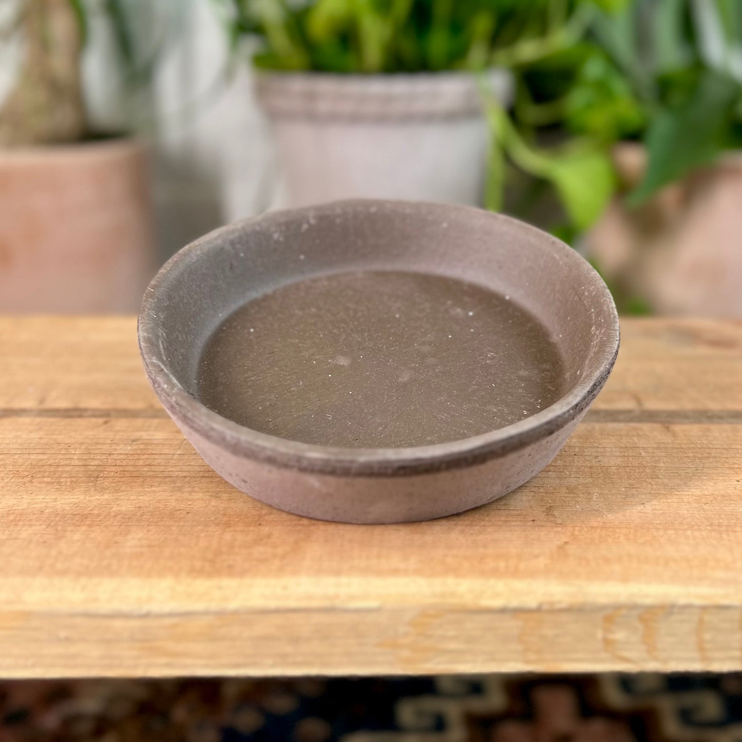 Bergs Standard Saucer