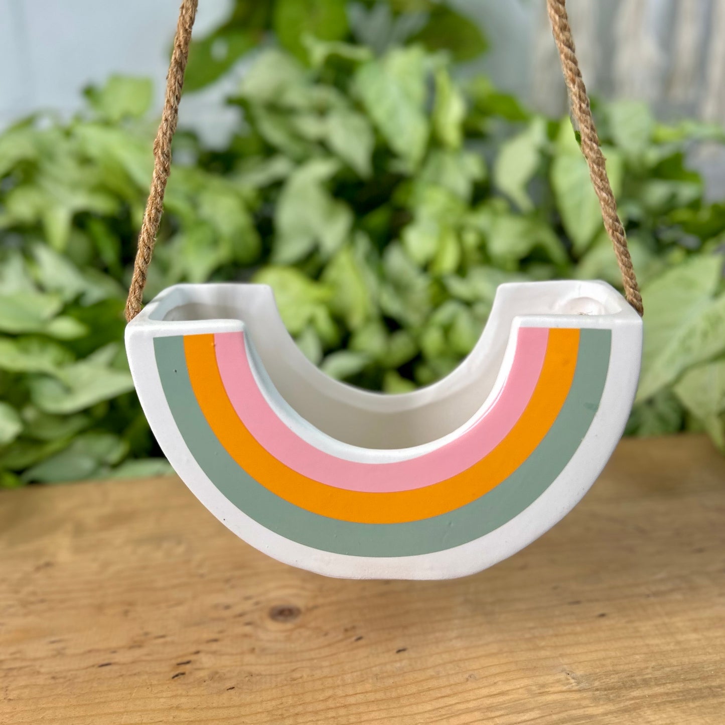 Rainbow Hanging Pot
