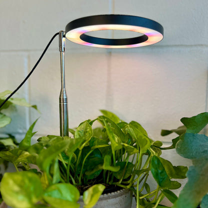 Extendable Plant Grow Light