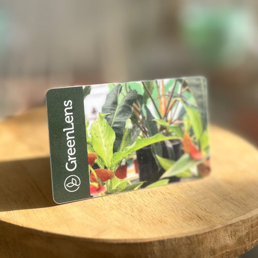 GreenLens Gift Card