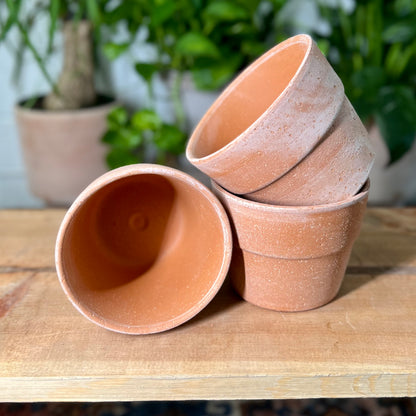 Siena Pot Terracotta