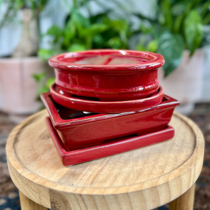 6" Bonsai Planter w/ Sacuer