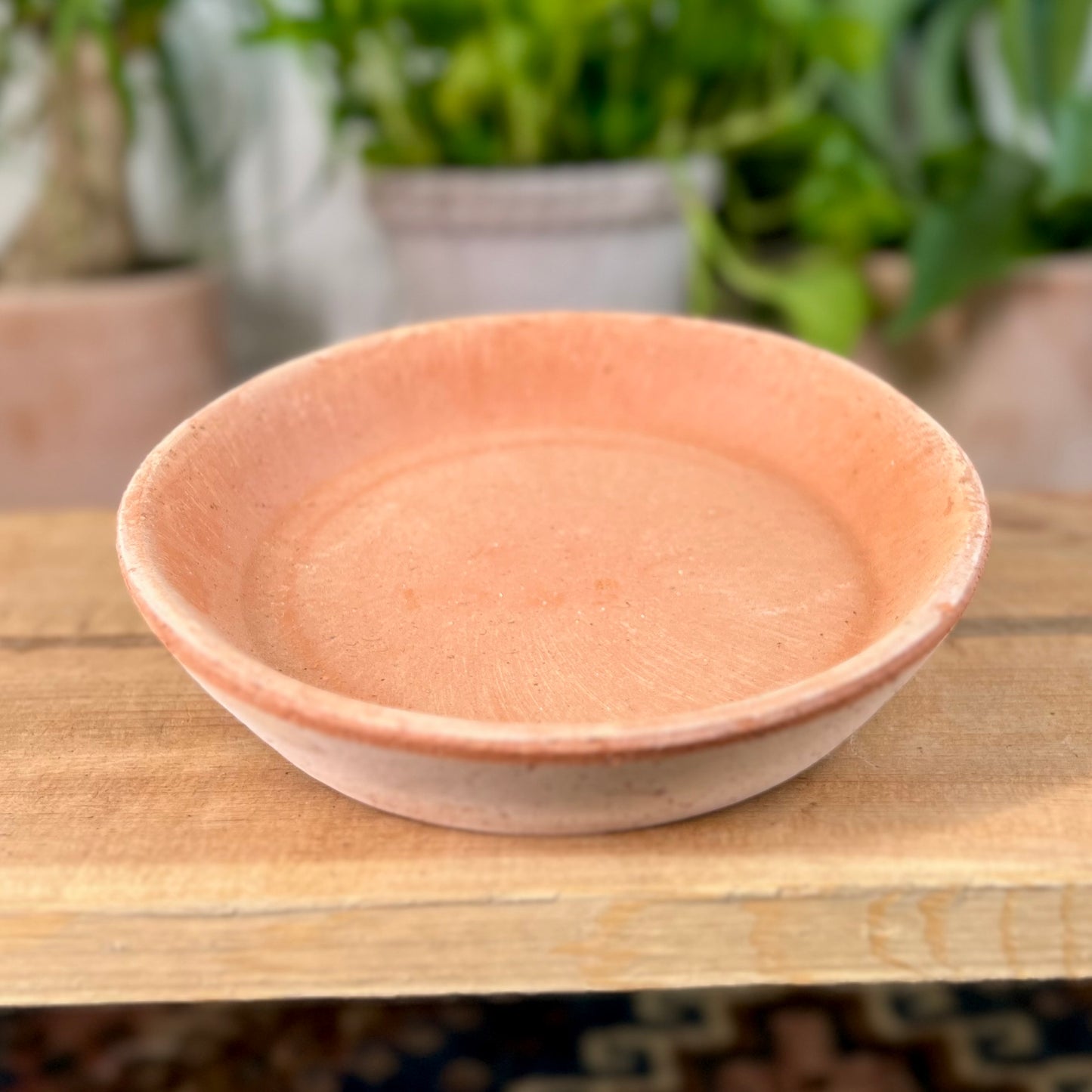 Bergs Standard Saucer