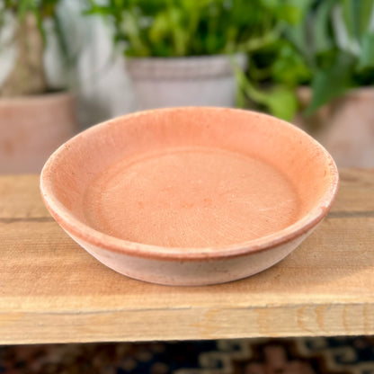 Bergs Standard Saucer