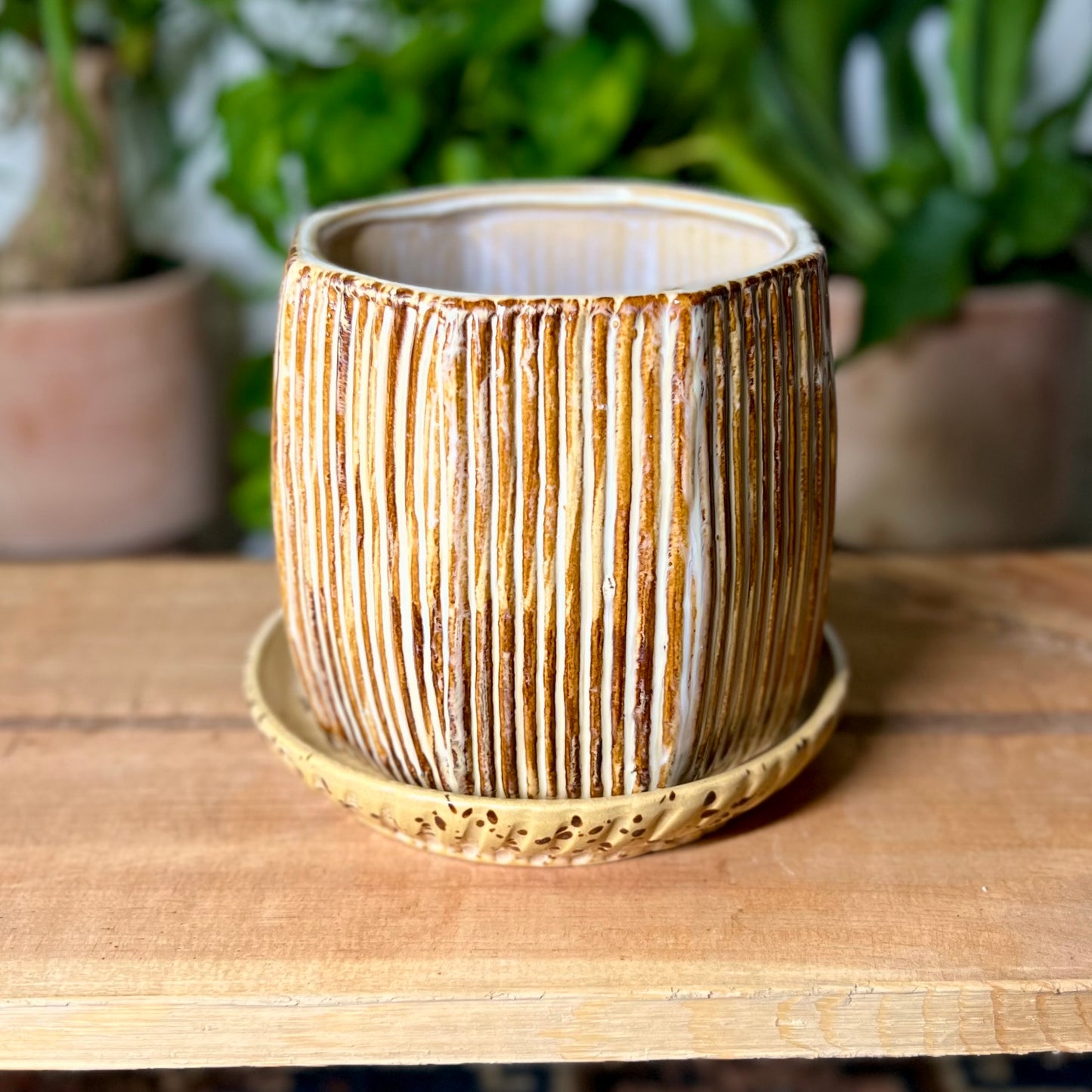 Carved Pot w/ Saucer