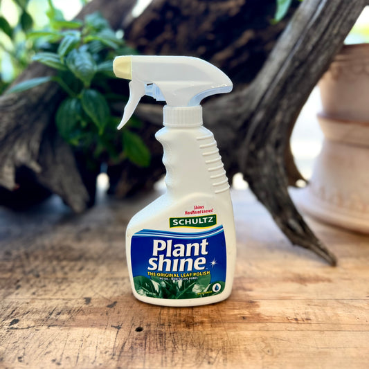 Schultz Plant Shine