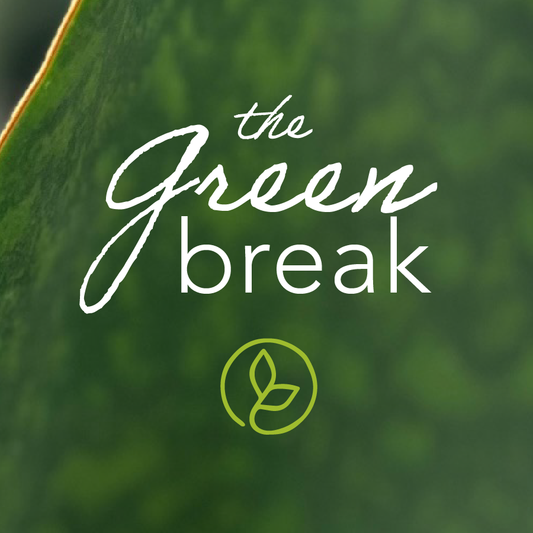 The Green Break Guided Meditation