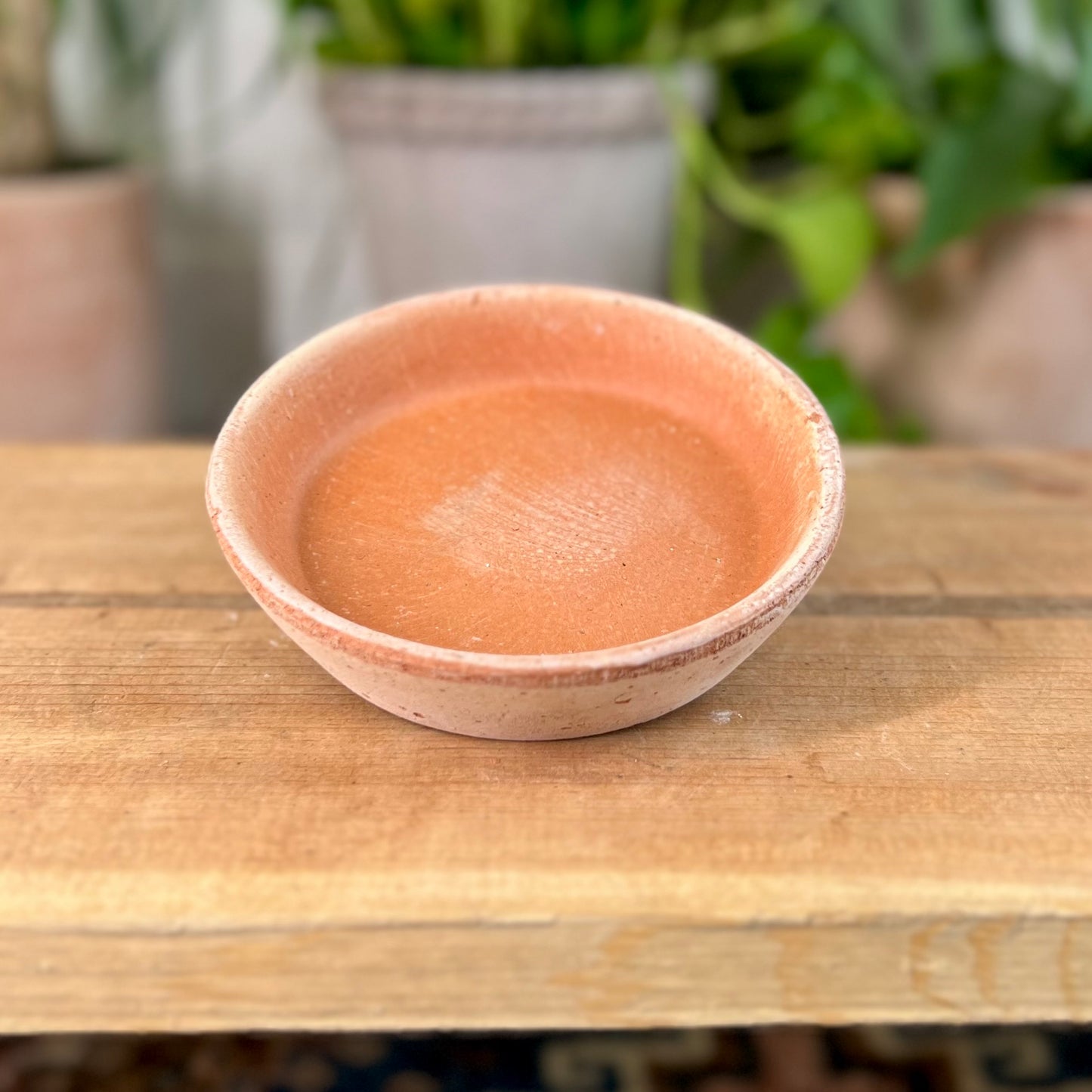 Bergs Standard Saucer