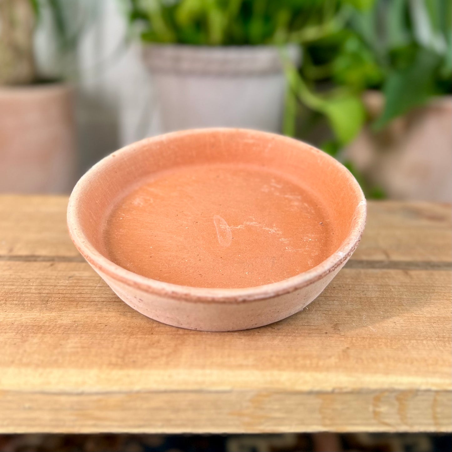 Bergs Standard Saucer