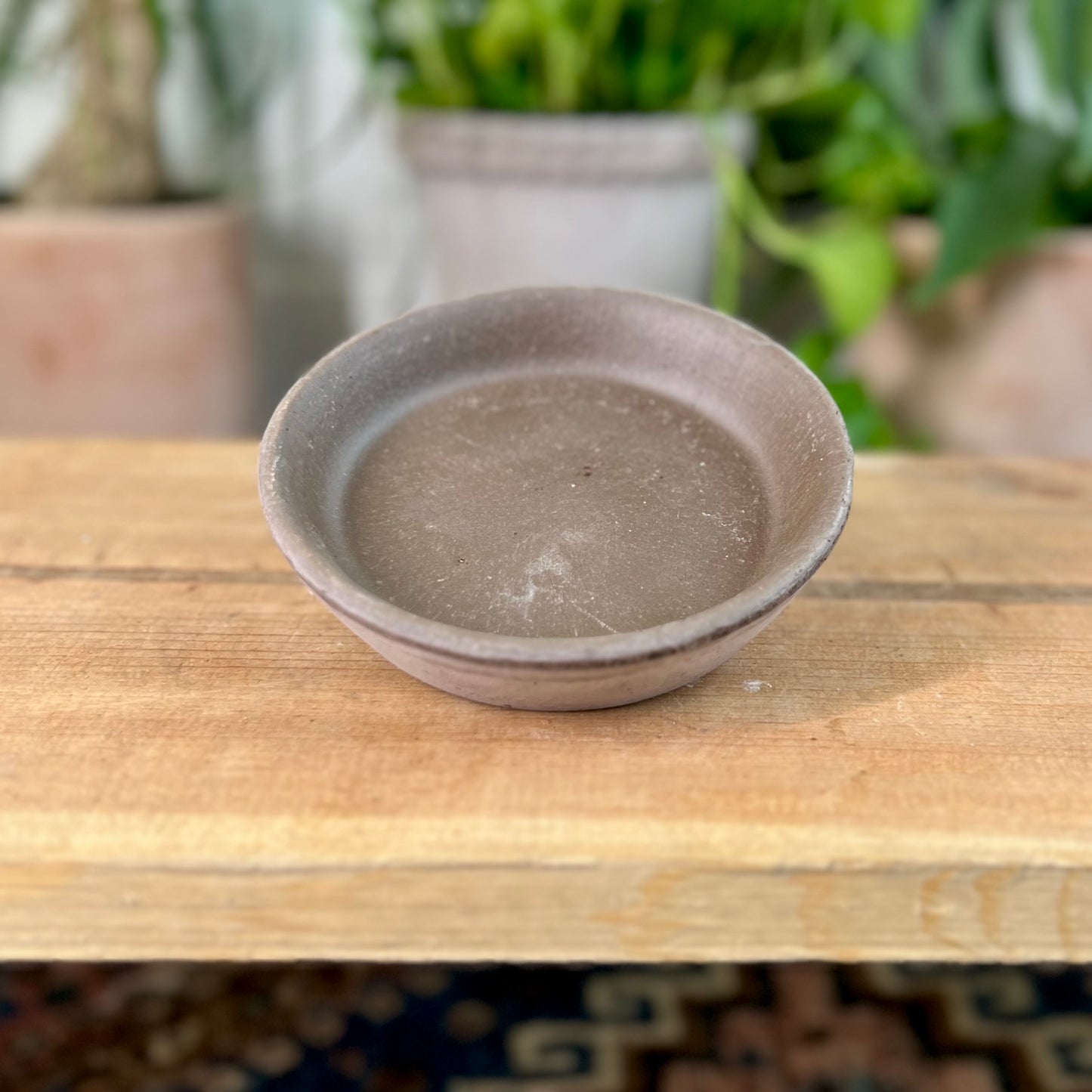 Bergs Standard Saucer