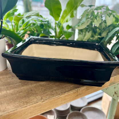 16.6" Bonsai Planter