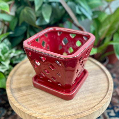 Square Diamond Orchid Pot