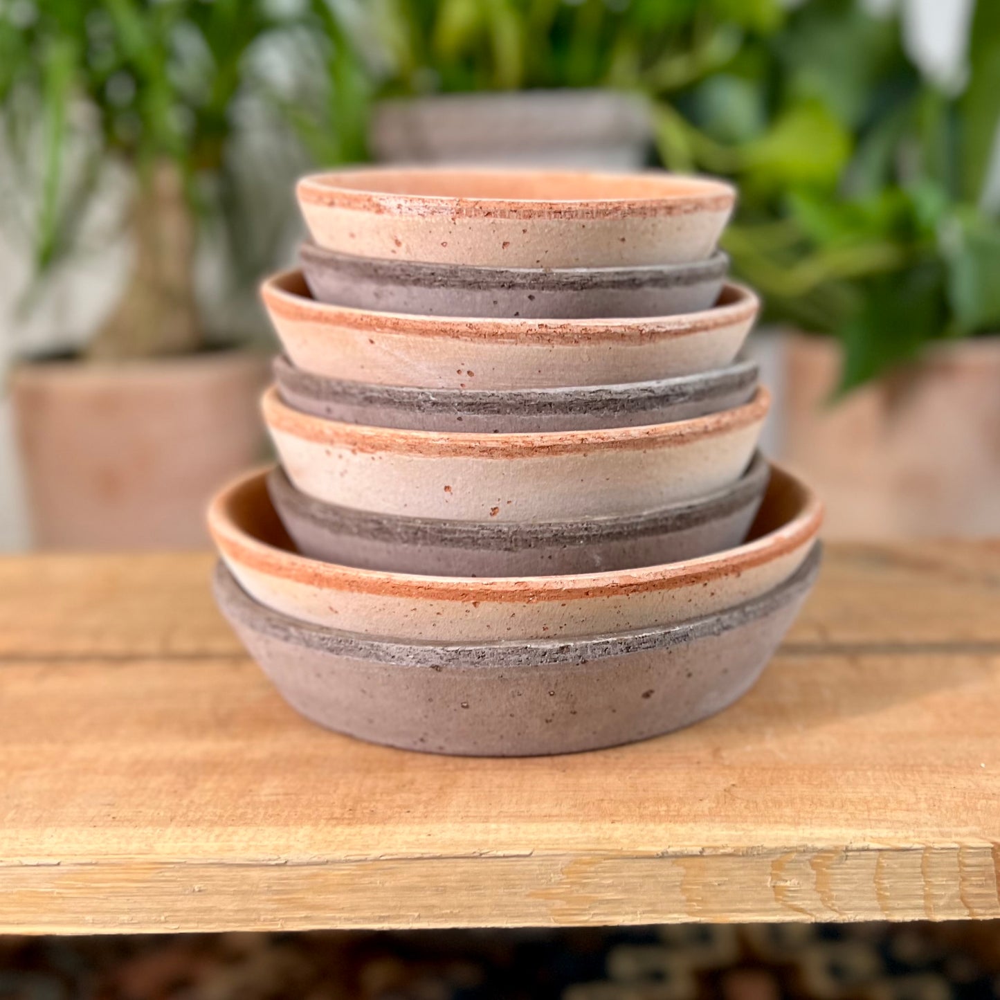 Bergs Standard Saucer