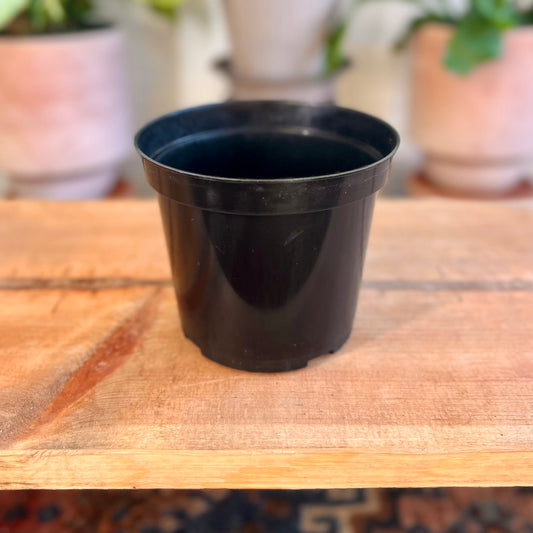 Growers Pot - Hard Black Plastic - 4.5" GER