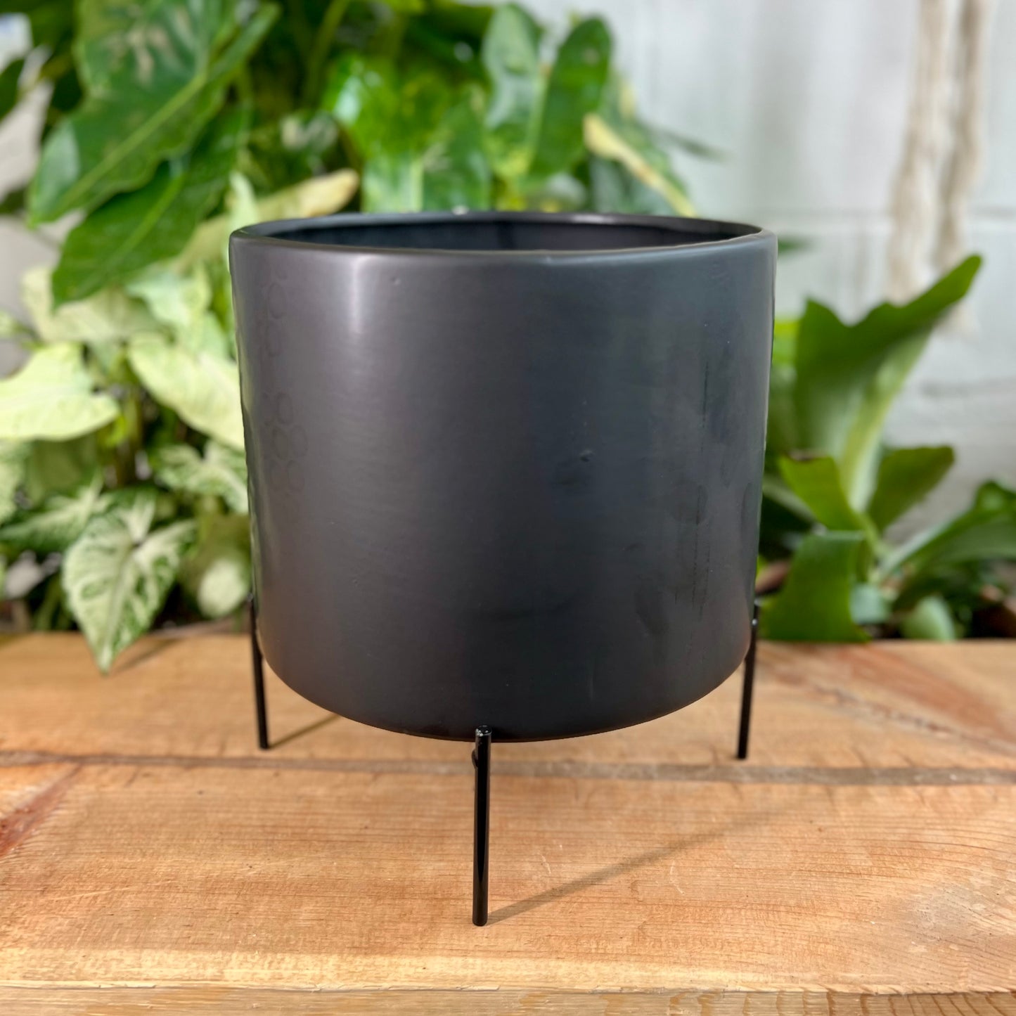 Reversible Stands Pot