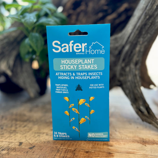 Sticky Stakes Safer Home