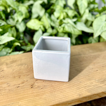 Contemporary Square Pot